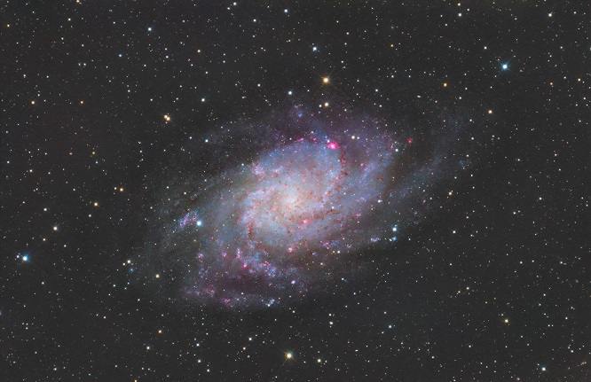 20 M33小红花-深景星云-恽旻敏.jpg