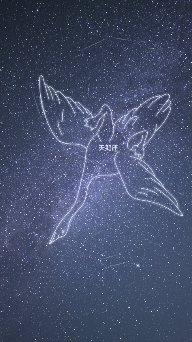 （11）天鹅座+星座+吴旭.jpg