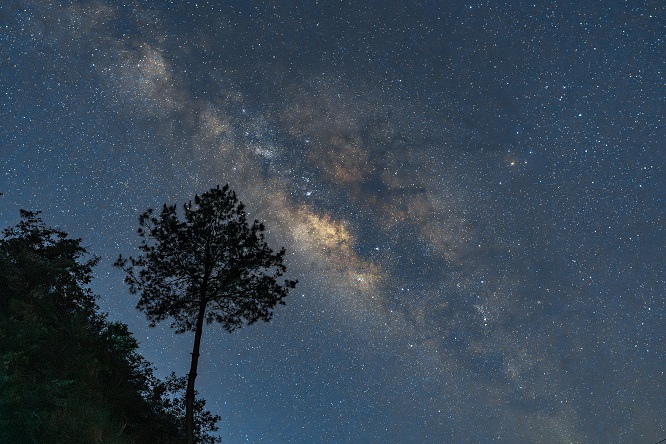 （5）摄影师：高树才  主题：（星星落人间） 拍摄地：贵定茶山 (4).jpg