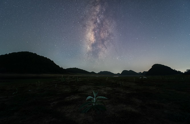 （7）小草星空.jpg